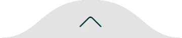فلش صفحه