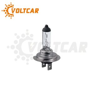 لامپ دوفیش پرشیایی ۱۲ ولت ۵۵ وات شاینی ولف