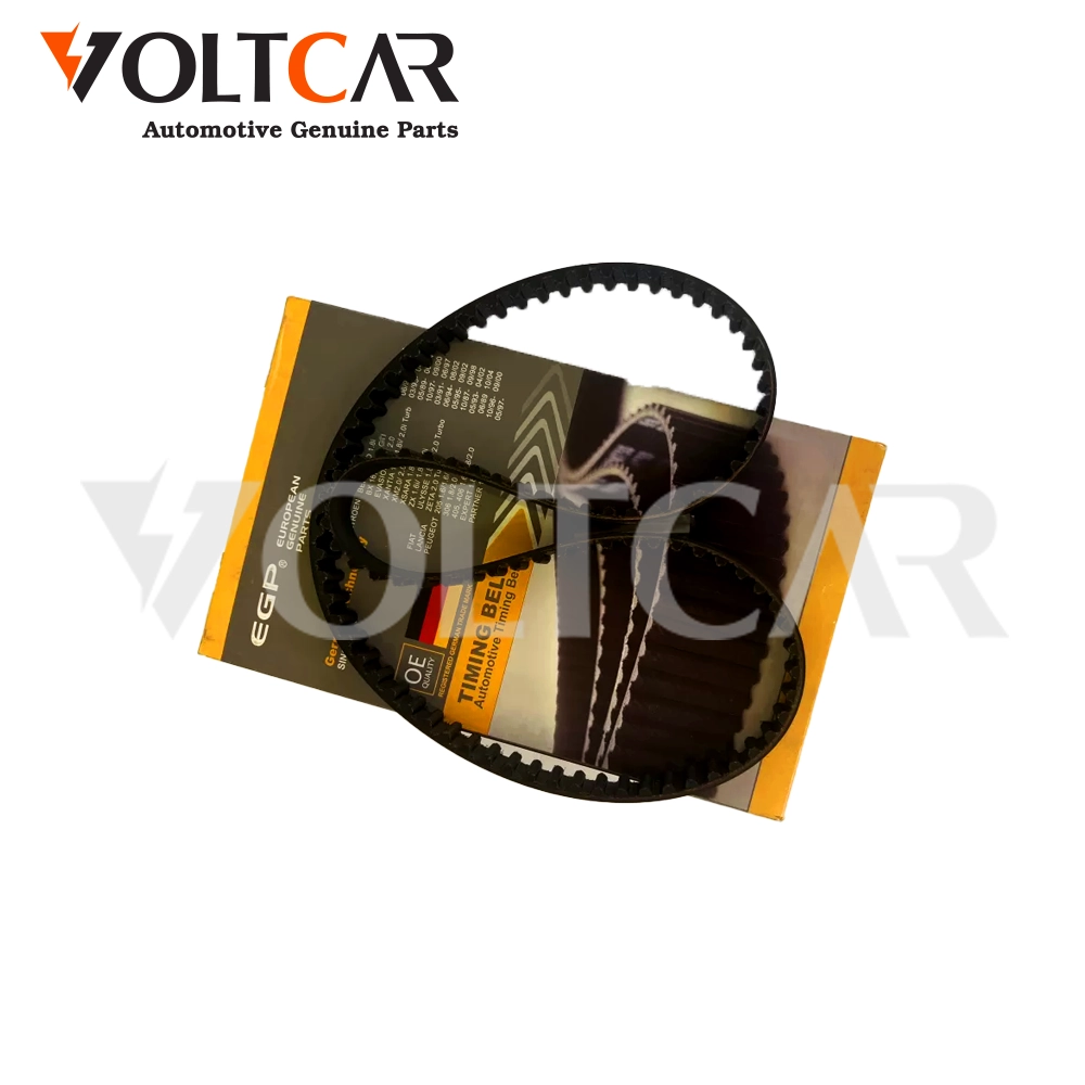 تسمه تایم ای جی پی آلمان