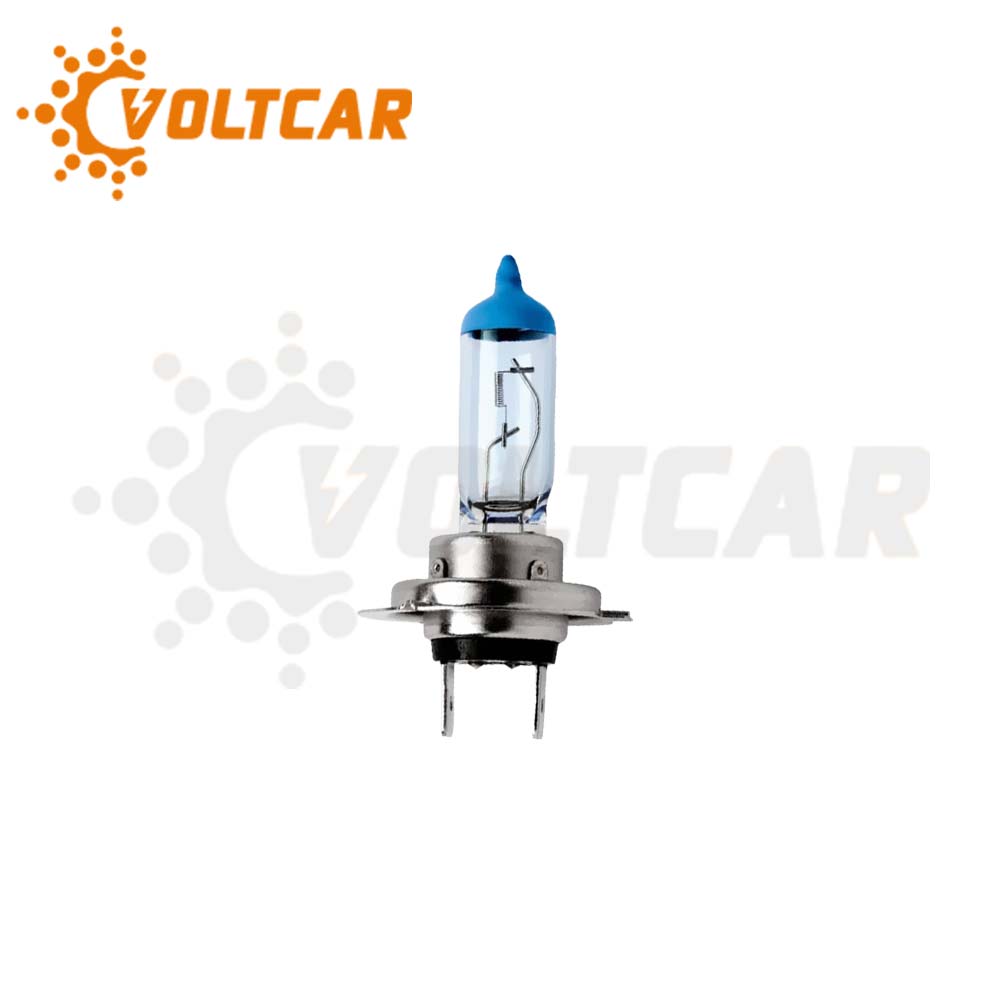 لامپ دوفیش پرشیایی یخی ۱۲ ولت ۱۰۰ وات شاینی ولف