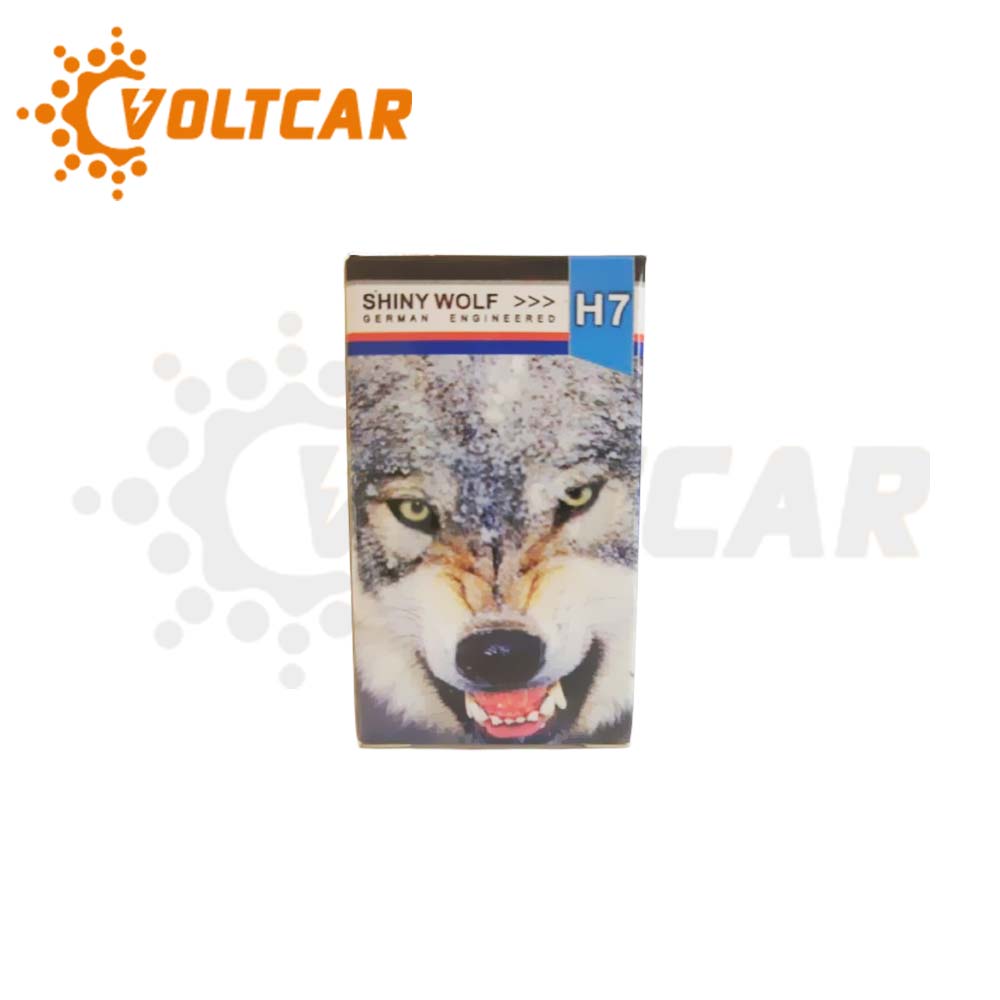 لامپ دوفیش پرشیایی زرد ۱۲ ولت ۱۰۰ وات شاینی ولف